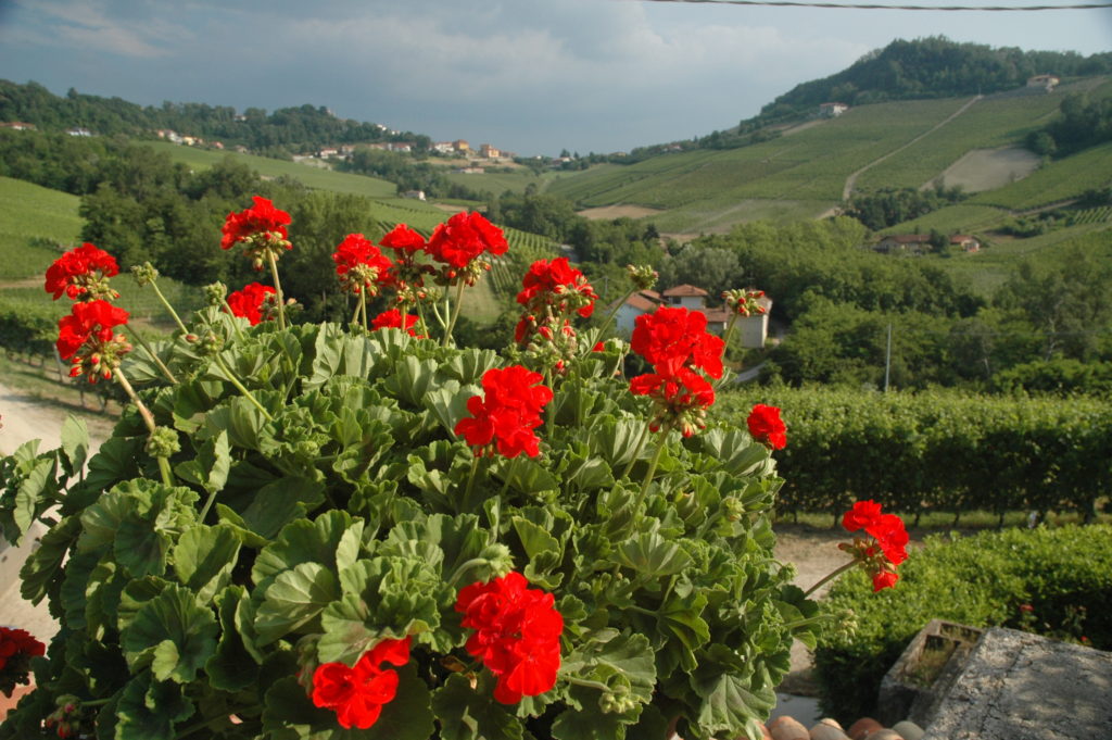 Walking tours in Piedmont, Italy