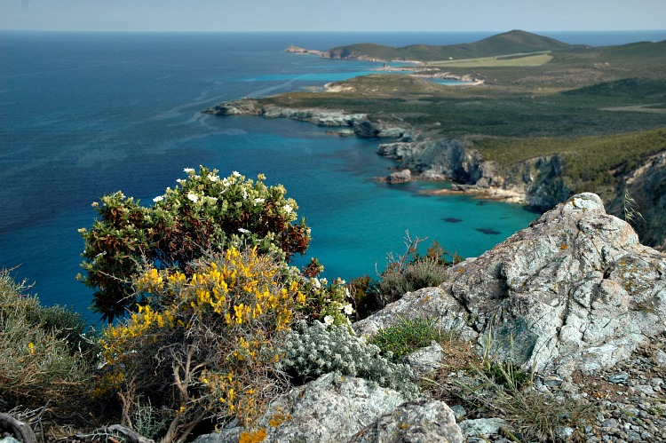 Walking Tours in Corsica