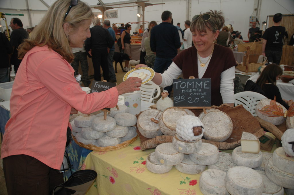 Corsican Cheese